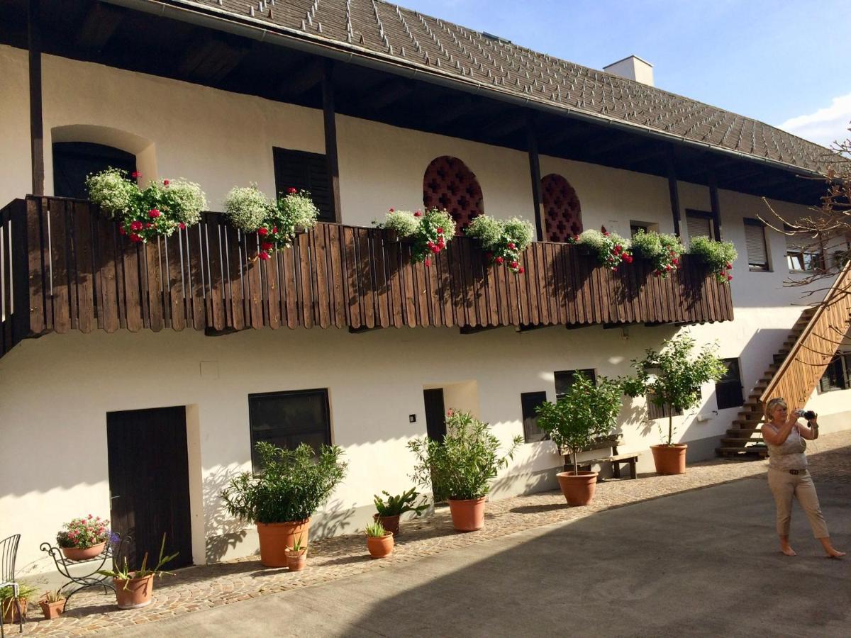 VIII Panorama-Ferienwohnung Petzenblick Smihel nad Pliberkom Extérieur photo